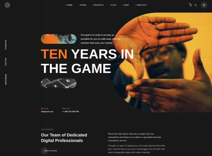 Premium multi niche WordPress themes showcase