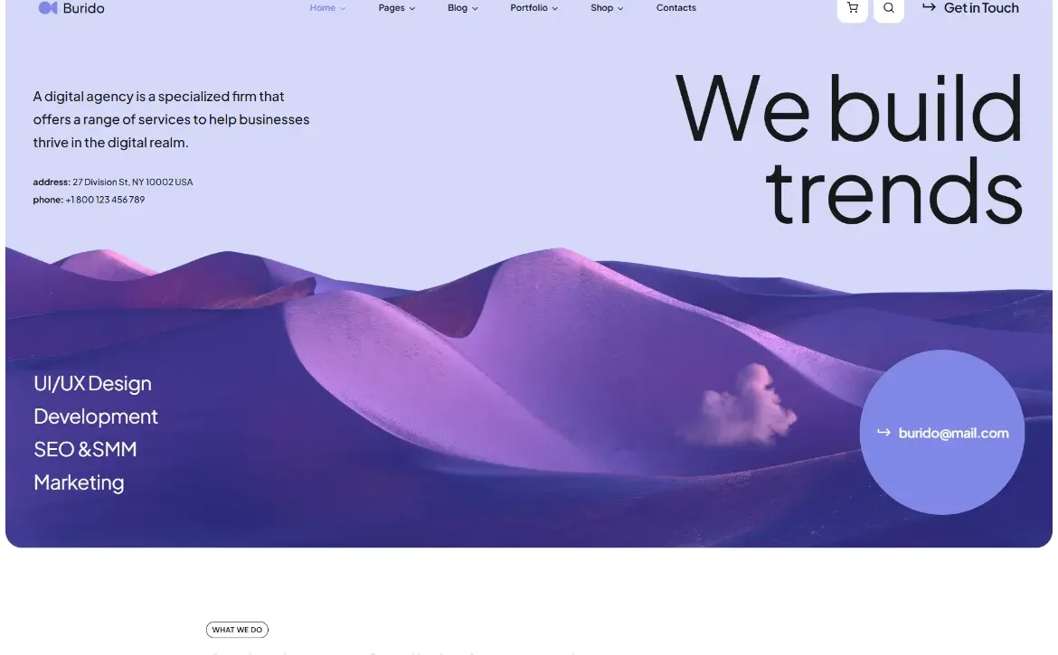 Burido – Digital trends WordPress Theme