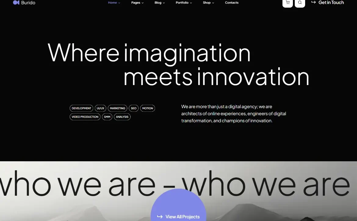 Burido – Imagination and innovation WordPress Theme