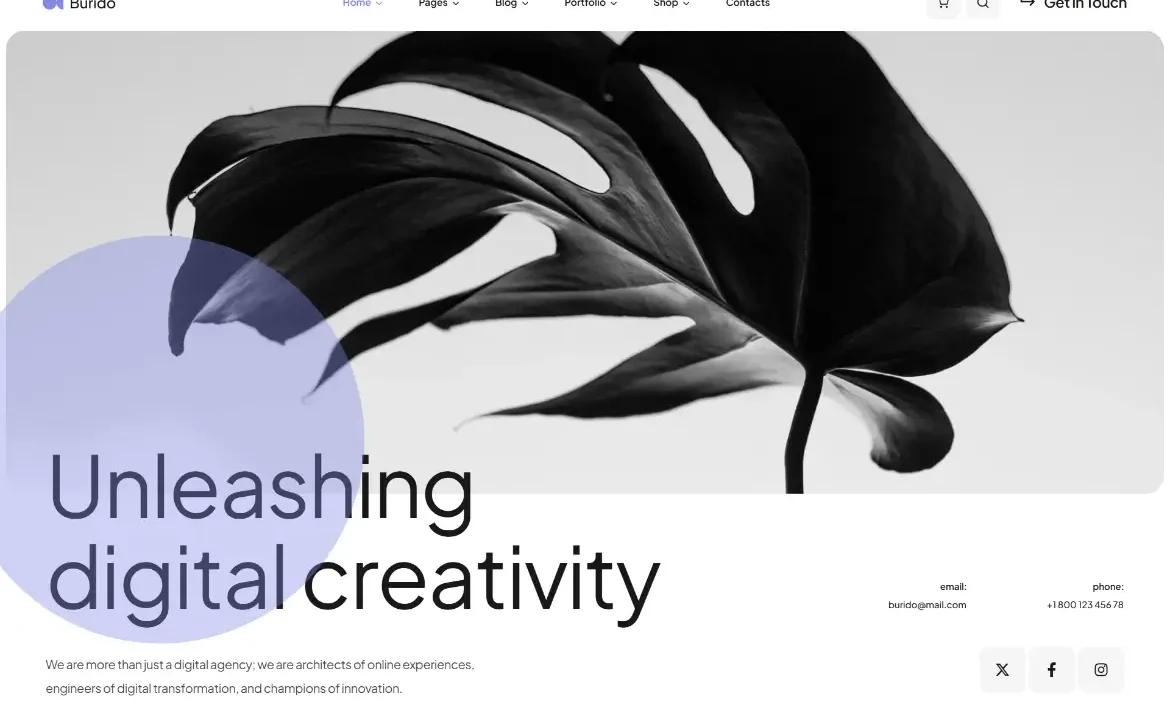 Burido – Digital creativity WordPress Theme