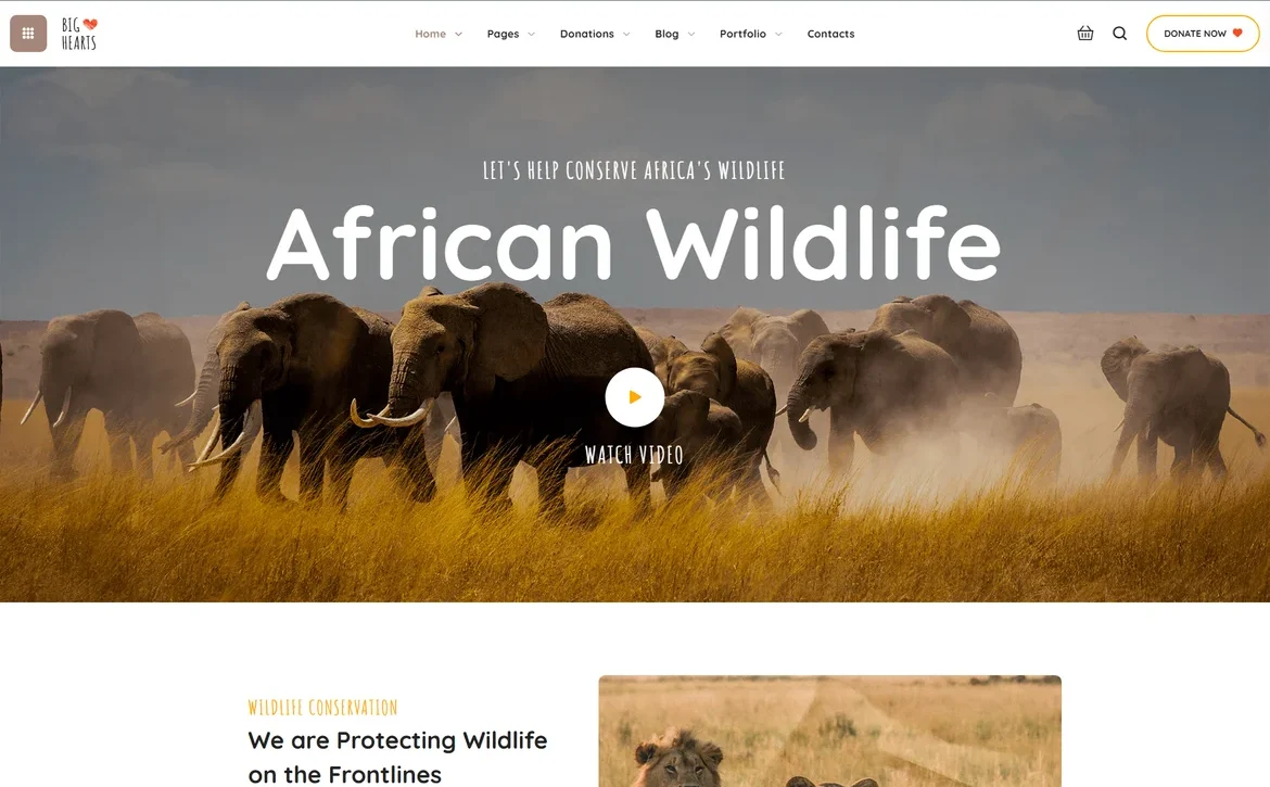 BigHearts – African wildlife conservation WordPress Theme