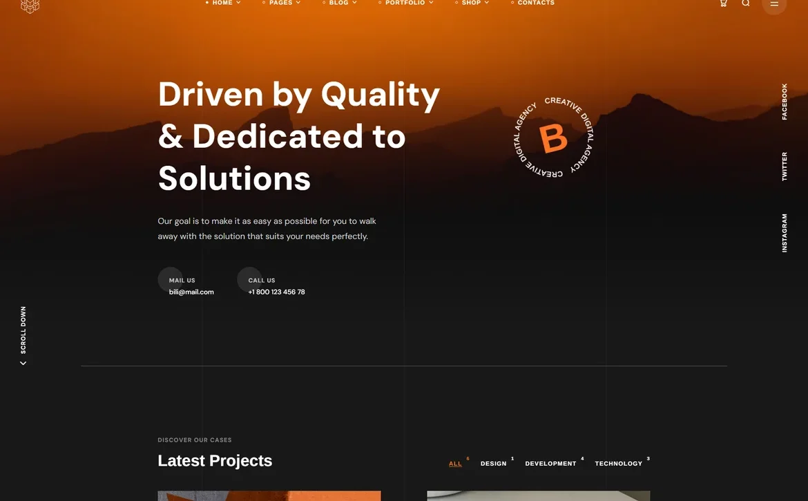 Bili – Quality driven agency WordPress Theme