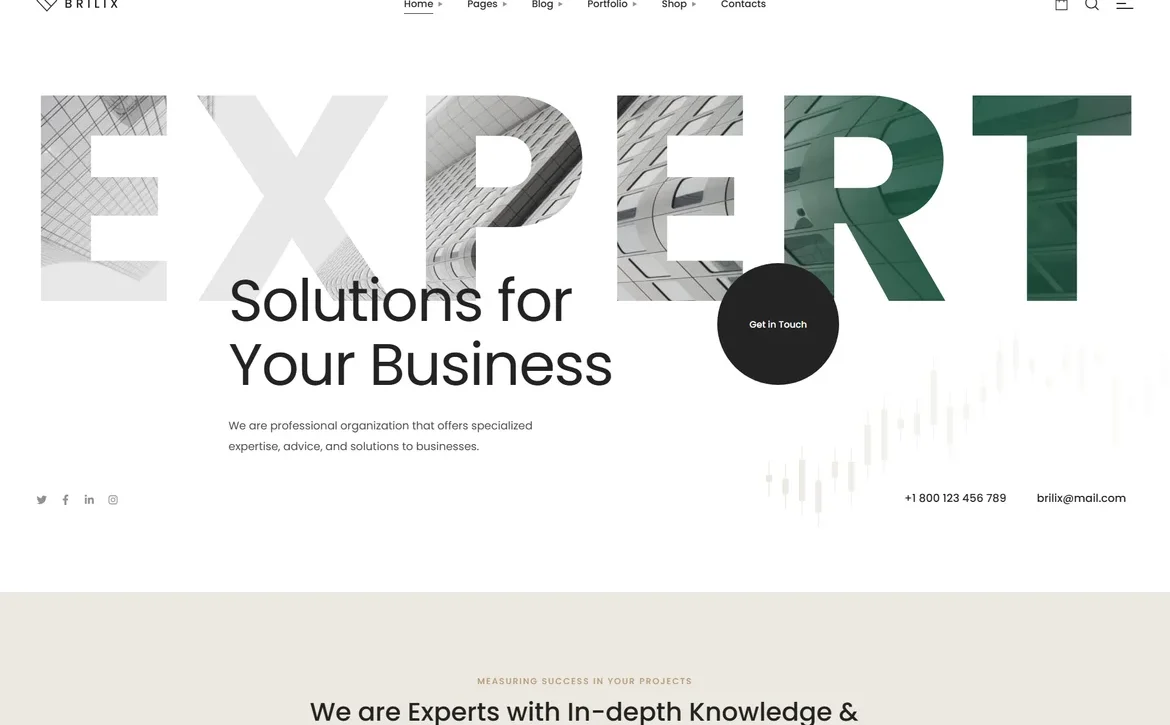Brilix – Business consulting expert solutions WordPress Theme