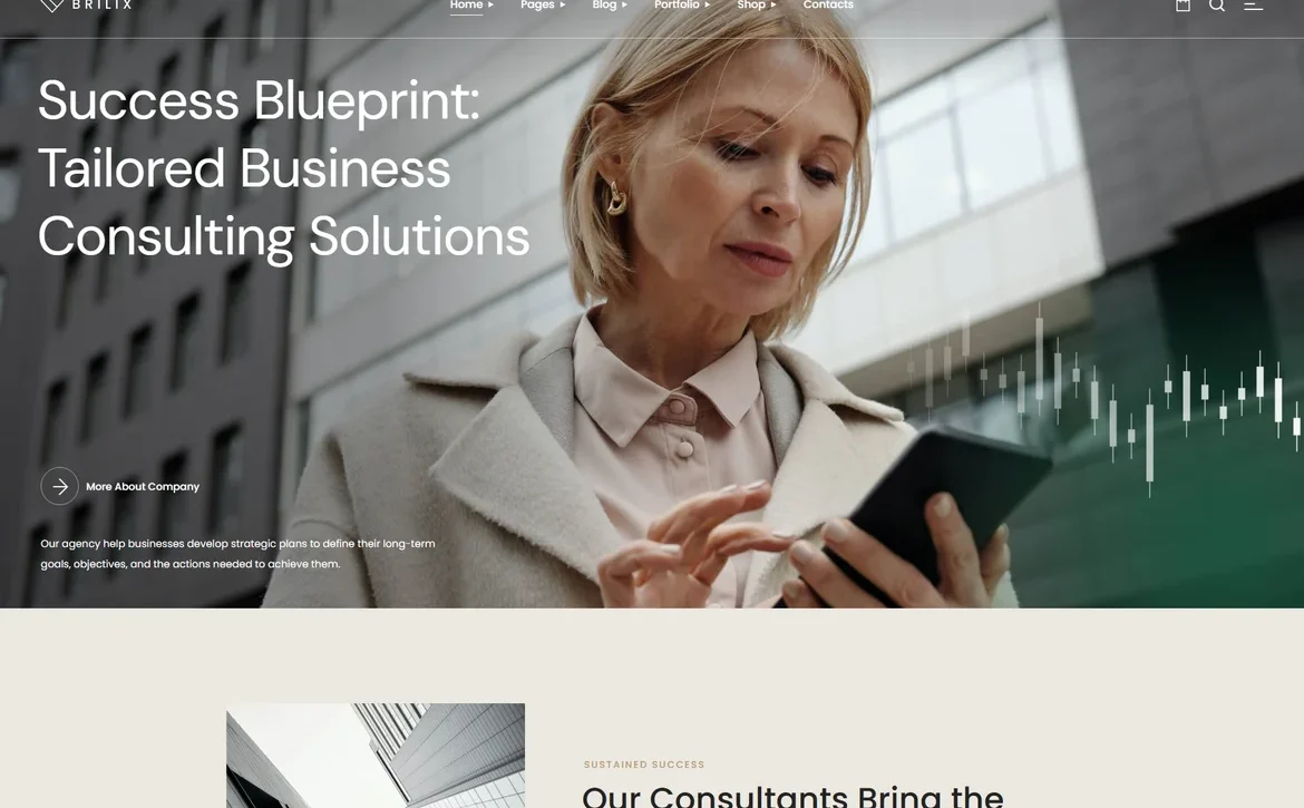Brilix – Business consulting blueprint WordPress Theme