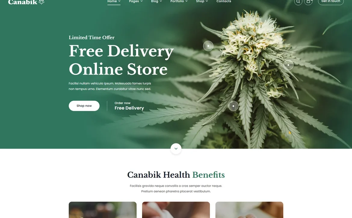 Canabik – Cannabis free delivery offer WordPress Theme