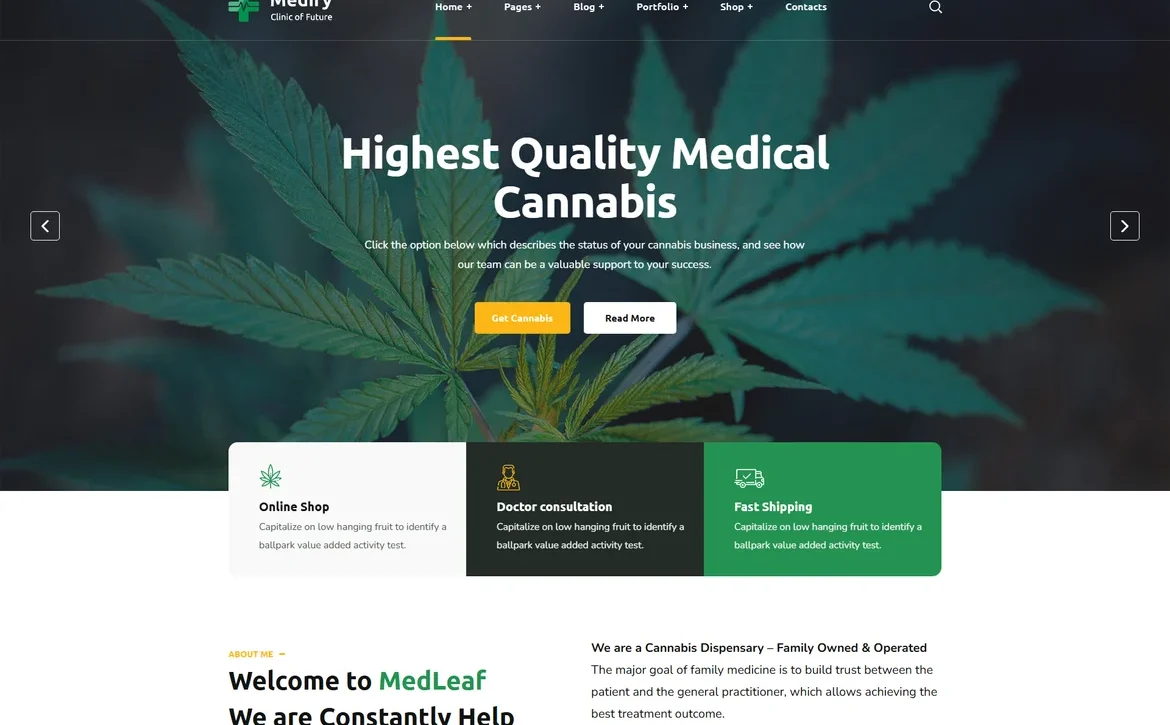 Medify – Medical cannabis dispensary WordPress Theme