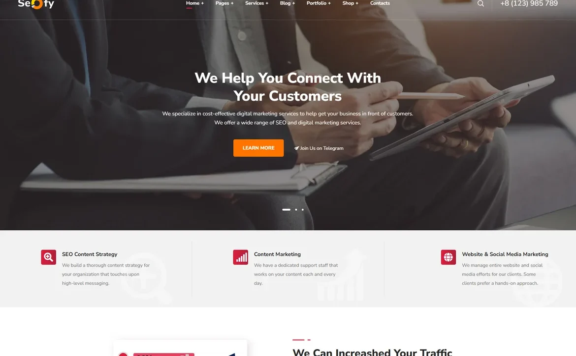 Seofy – Customer connection marketing WordPress Theme