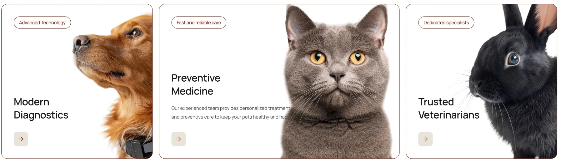 Happytails WordPress theme — Veterinary services section with Vaccinations, Diagnostics and Dental Care