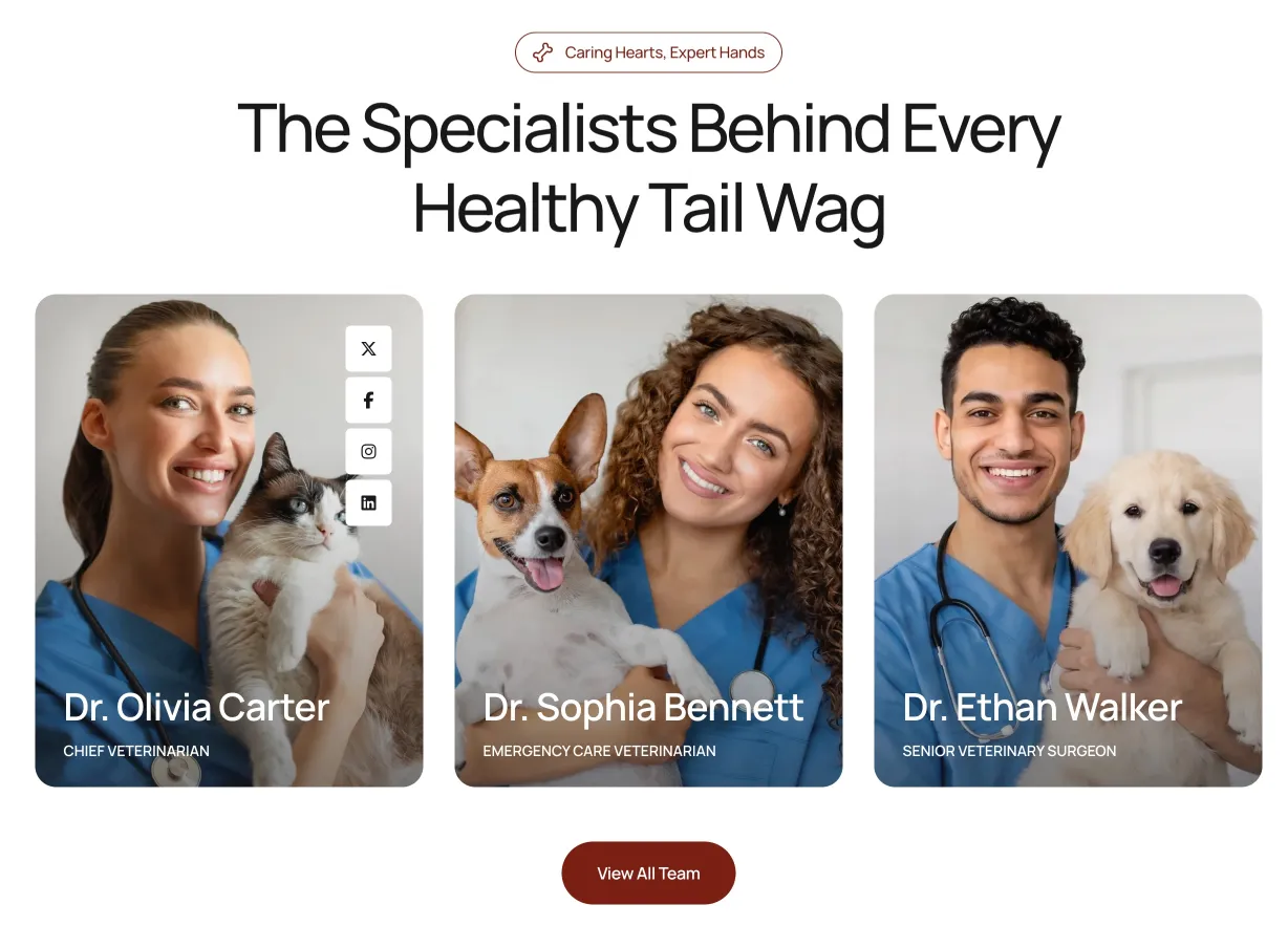 Happytails WordPress theme — veterinary team section